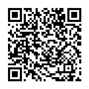 难道传说中鬼市拍卖会上砸五十亿红晶买仙桃的就是这厮二维码生成