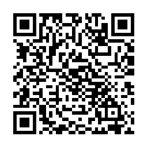 难道你们这些上一届天才都是一些只会欺负手无寸铁之辈二维码生成