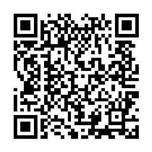 难道你忘记了自己是毛里克斯拉尼的国王陛下了吗二维码生成