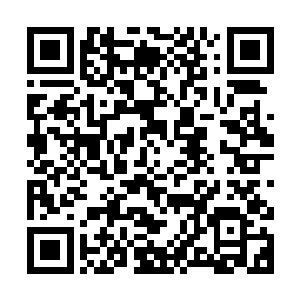 难道你打把伞站在院子里大家就觉得你不是黑龙不是绝世高手了二维码生成