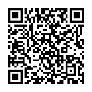 难道你要让外界耻笑我们瑞典的公主只会讲华夏语吗二维码生成