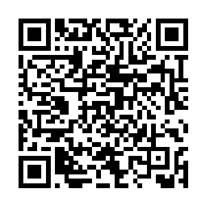 难道你还想看到你孙子的孙子的孙子长得什么样吗二维码生成