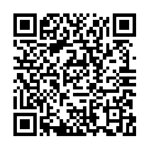 难道吃那些从馊水腌臜里弄出来的食物才算好吃二维码生成