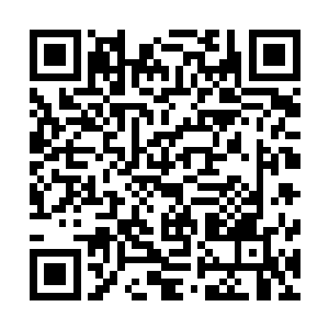 难道天底下所有人都要围绕着他转才觉得这个世界是正常的二维码生成