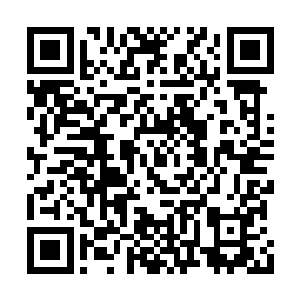 难道夫人的意思是这里无法安排下所有的修罗人二维码生成