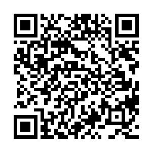 难道她就准备眼睁睁地看着双刀假面惨死在豺狼人的口中二维码生成