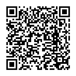 难道她就没有从下方那些神禁军的反应以及行动中看出自己这次前来二维码生成