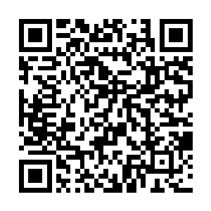 难道她要用刚才她制作出来的那个符箓来代替生阳草二维码生成