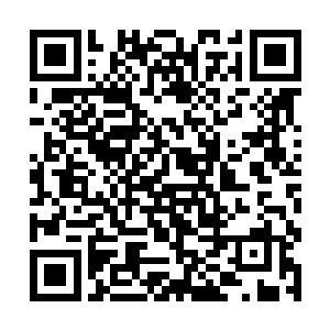 难道宗主还会将他这个筑基期大圆满的修士给杀了吗二维码生成