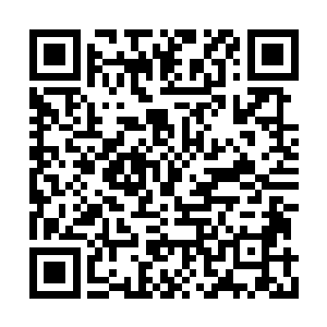 难道就因为有你这么一个大道初期的老东西坐镇二维码生成