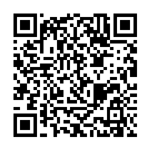 难道就是这个世界的修士所修炼出来的一种奇特力量二维码生成