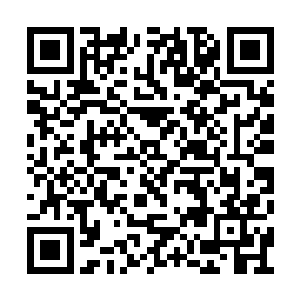 难道已经强大到不惧怕开天老祖的地步了吗……二维码生成