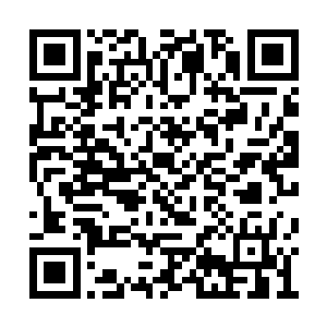 难道张老板就不想知道仙农洞府那些人的安排么二维码生成