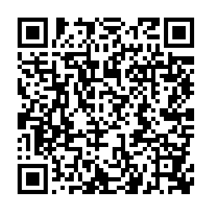 难道我们保留的那些数以十万计准备克隆的基因样本再不需要保护了二维码生成