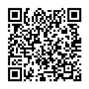 难道是因为有美女老师在旁边而收起了他的獠牙吗二维码生成