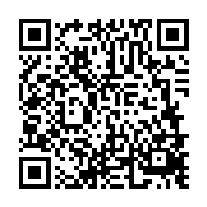 难道是自己在缤纷符宫内融合的那一缕凤祖神识的原因二维码生成