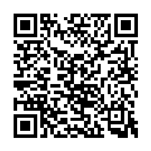 难道说凌霄城的修士还不知道大师兄真正的手段二维码生成