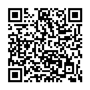 难道说她的这个体制让她不论什么都学得那么快二维码生成