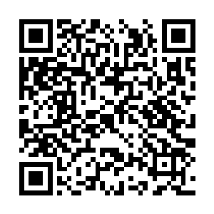 难道说易凡希想要对付她或者繁花设计是因为秦云二维码生成
