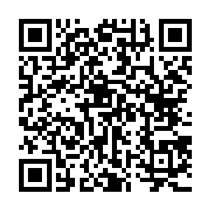 难道说是我和我身边这群人的收视习惯跟主流太不相同吗二维码生成