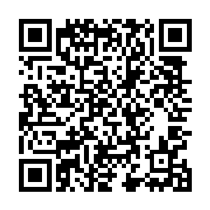 难道说格林想要让我们在下次摇滚之夜的舞台上进行表演二维码生成