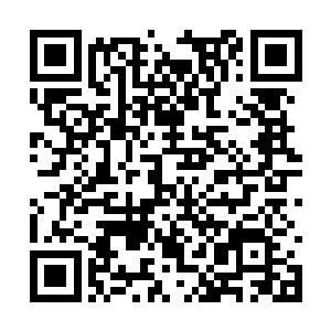 难道说陆为民来阜头担任县委书记当时还存在变数二维码生成