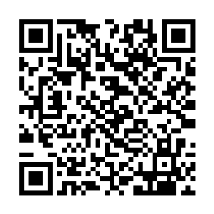 难道还被区区一名一色元丹的低阶弟子给吓住了不成二维码生成