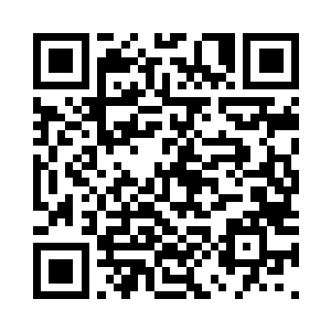难道这些修士的修为已经超过了仙君二维码生成