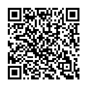 难道这天界的生命之树与人间的生命之树不一样二维码生成