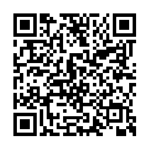 难道邀你来杀我的人没有提过我本身就是女人么二维码生成