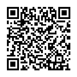 难道那傻小子不知道我们三人在打杀东山七英吗二维码生成