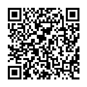 雄心勃勃的巳蛇说完这些话还意味深长地看了向维远一眼二维码生成