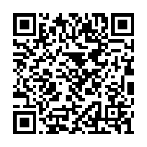 雄性海狮成体颈部周围及肩部生有长而粗的鬃毛二维码生成