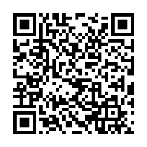 雄性生物的本能在那一刻毫不留情的将所谓的定力二维码生成
