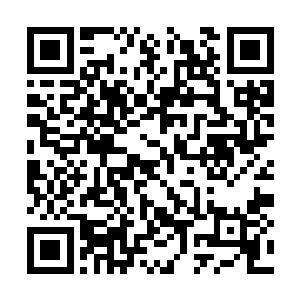 雄浑的法力和裹挟凶魔煞气的肉身之力撞击在一起二维码生成