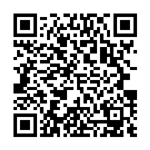 雅文和小秋也压根儿没想到走进教室会有这么大的欢迎阵势二维码生成