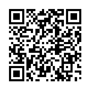 雇佣凡尔纳试图捣乱的人已经查出来了二维码生成