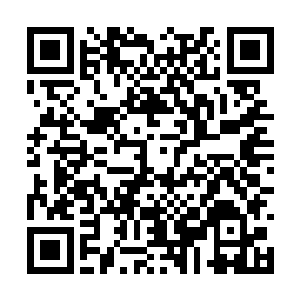 雨族族长和巨人族族长倒是也去拜访了大地族族长二维码生成