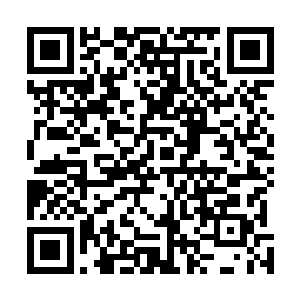 雨果却已经不是一年前那个应对采访还慌手慌脚的雏鸟了二维码生成