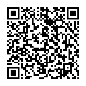 雨果可以清晰看到恩斯特那充满褶皱的下巴层层叠叠地勾勒出岁月的年轮二维码生成