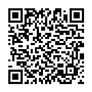 雨果和涅檗乐队任何一名成员在此之前都没有过接触二维码生成