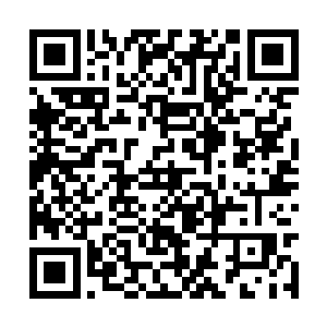 雨果和莱昂纳多一起赢得了最佳男配角部分的提名二维码生成