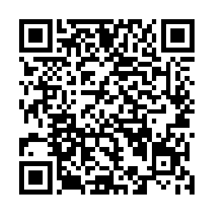 雨果在奥斯卡之夜的红地毯上曾经接受过这个问题的访问二维码生成