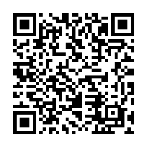 雨果在奥斯卡的得奖感言博得了百分之十七的观众的喜爱二维码生成