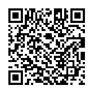 雨果想起了二十一世纪之后在奥斯卡征途上屡战屡败二维码生成