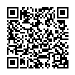 雨果显然没有预料到三周的度假之后他却迎来了一个崭新的世界二维码生成