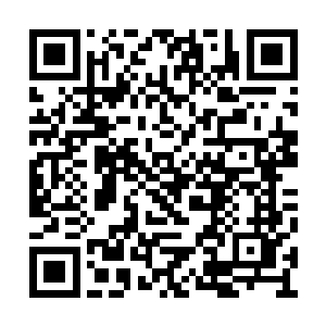 雨果本来也是想要投入到这一波宣传狂潮之中的二维码生成