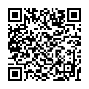 雨果精准的选片眼光还体现在了另外一部作品上二维码生成