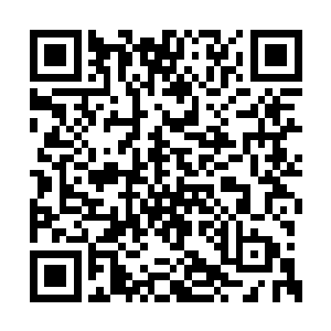 雨果认为这就是他内心最贴近真实楚门的表演了二维码生成