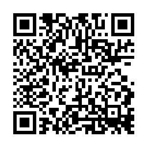 雪如楼也把那个黑色仙兽的记忆中有用的情报说了出来二维码生成